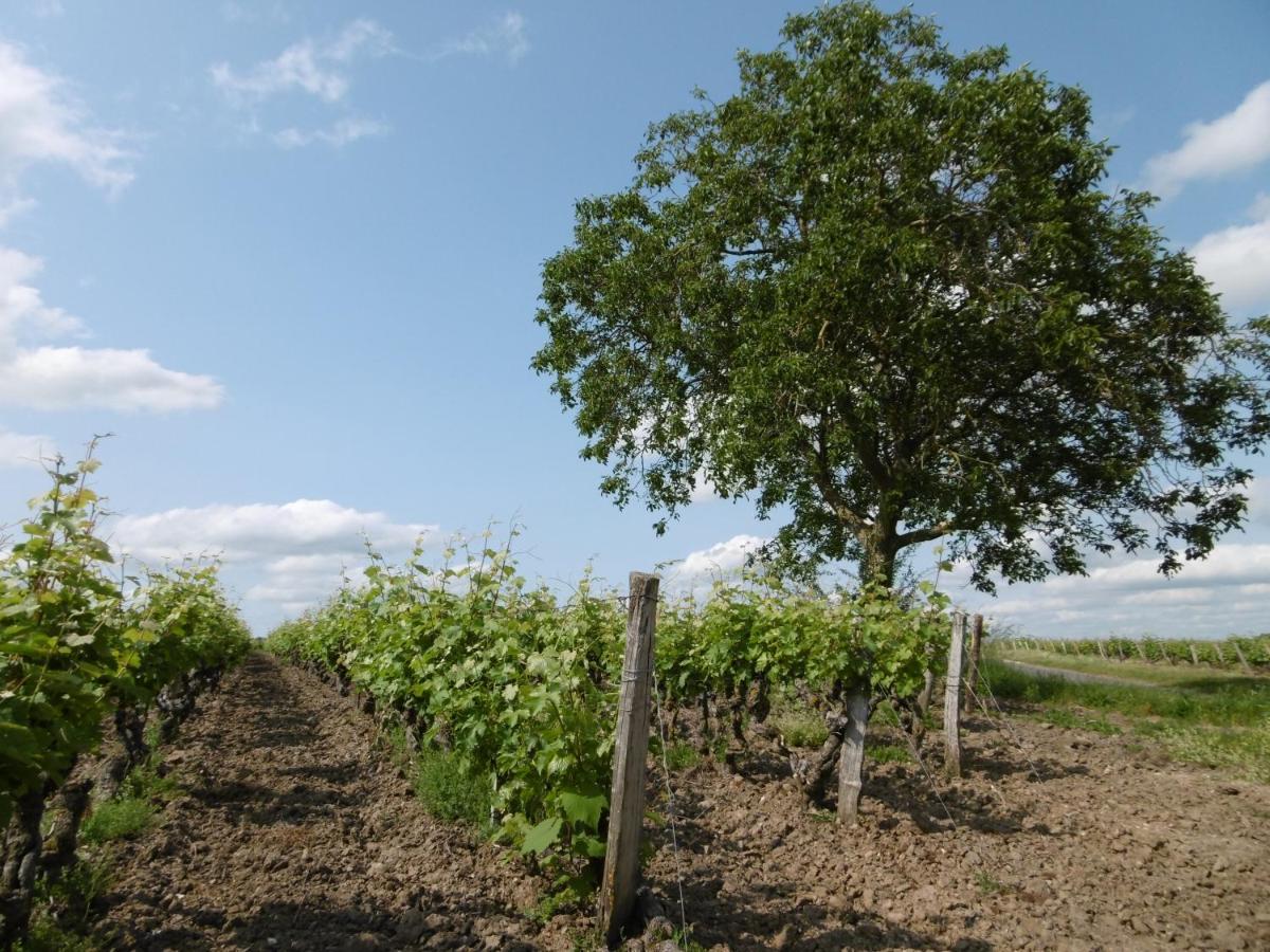 L'Etape Troglo Otel Vouvray Dış mekan fotoğraf